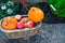 Small pumpkins and apples in vintage straw basket in the garden. Autumn harvest, thanksgiving, halloween, nature concept. Healthy