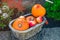 Small pumpkins and apples in vintage straw basket in the garden. Autumn harvest, thanksgiving, halloween, nature concept. Healthy