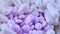 Small purple pills and white capsules lie together on a table and rotate closeup