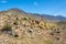 Small pyramids of stones have oboo-tash in the Altai Mountains