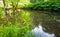 Small quiet lake in a forest