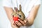 A small rabbit and a heart in human hands. The concept of love , protection and conservation of animals. Rabbit close-