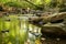 A small rapid river flows through dolomite rocks, long-term exposure, gentle and fuzzy river water, colorful autumn leaves and dry