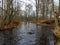 small and rapid river, naked tree silhouettes, tree leaves on the ground, autumn day