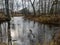 Small and rapid river, naked tree silhouettes, tree leaves on the ground, autumn day