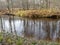 Small and rapid river, naked tree silhouettes, tree leaves on the ground, autumn day