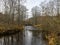 Small and rapid river, naked tree silhouettes, tree leaves on the ground, autumn day