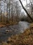 Small and rapid river, naked tree silhouettes, tree leaves on the ground, autumn day