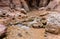 A small rapids along a shallow stream at start of Wadi Numeira hiking trail in Jordan