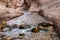 A small rapids along a shallow stream at the start of the Wadi Numeirah hiking trail in Jordan