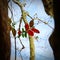 Small red autumn leaves among nearly bare branches