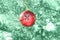 Small red bauble on green christmas firtree