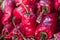 Small red bell peppers / chilli pepper closeup