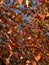 Small red decorative paradise apples and autumn leaves against the blue sky, selective focus