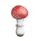 Small red fly agaric, poisonous mushroom, watercolor