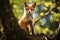 A small red fox standing proudly on a sturdy tree branch in the middle of a lush forest, young animal standing at base of tree, AI