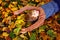 A small red haired boy in a sweater looks at the camera and smiles lying in the fallen yellow leaves of an autumn Park