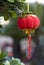 Small red lantern