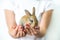 A small red rabbit in human hands. The concept of animal protection and conservation. Bunny close-up in the palm of the