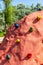 Small red rock formation with colorful handles for bouldering in the playground