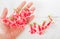 Small red spring flowers on hand on white wooden background