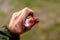 A small red tail on the hook of the fishing lure of the spinner protrudes.