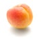 Small ripe apricot