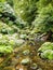 Small river at Botanical Garden of Ribeira do Guilherme, São Miguel Island