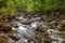 Small river called Ilse in Harz Germany