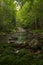 Small river cascading in the forest