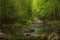 Small river cascading in the forest