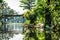 Small river channel in the lush jungle with palm trees, Alappuzha - Alleppey, India