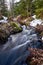 Small river in creek in spring