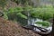 A small river at the edge of the forest. Wetlands and swamps near the river.