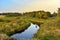 Small river in a field with green swamp water on sunset background in summer season. Wetlands declining and under threat. The