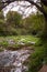 a small river flowing through a forest with fallen branches and a bench