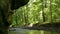 small river in the forest of the mulerthal in luxembourg with waterfall