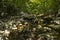 Small river in forest of Paklenica Nationalpark Croatia