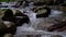 Small river in forest, water is moving over stones, slow motion view