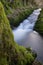 Small river in a german forest