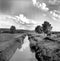 Small river, grassland and the trees