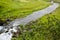 Small river in the green field with some sheep