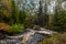 Small river in the Karelian forest