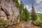 Small river in Koscieliska valley in summer Tatra Mountains