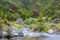 Small river at Lombadas with ruin, Sao Miguel, Azores, Portugal