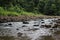 A small river in the middle of the north borneo forest