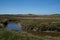 Small river in the nature reserve de slufter On Texel the Netherlands.