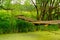 small river overgrown with grass in summer