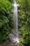 Small river in quindio, colombia.