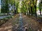 A small river between trees in a park with autumn colors and fallen leaves